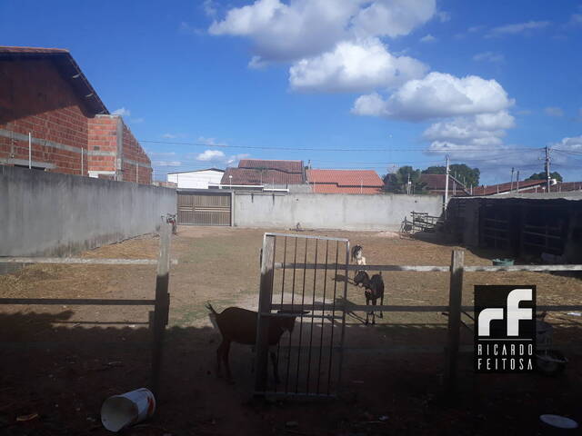 Terreno para Venda em Arapiraca - 5