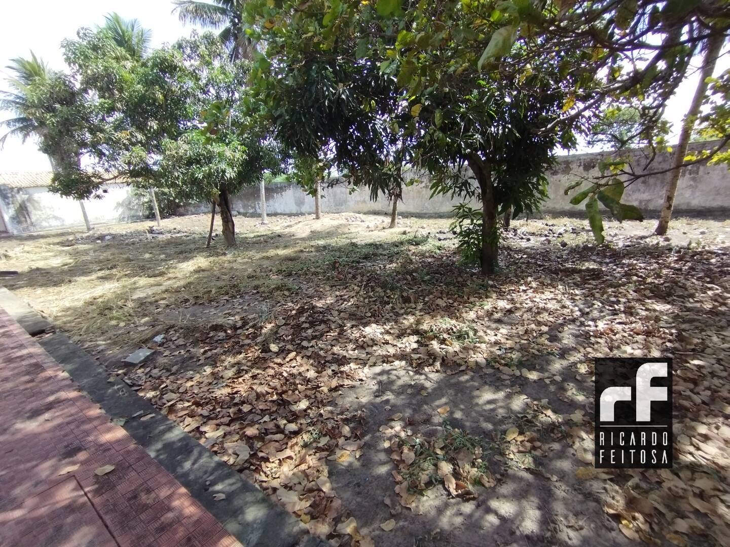 Terreno à venda, 3025m² - Foto 11