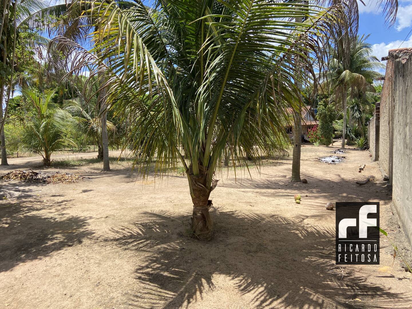 Terreno, 6291 m² - Foto 4