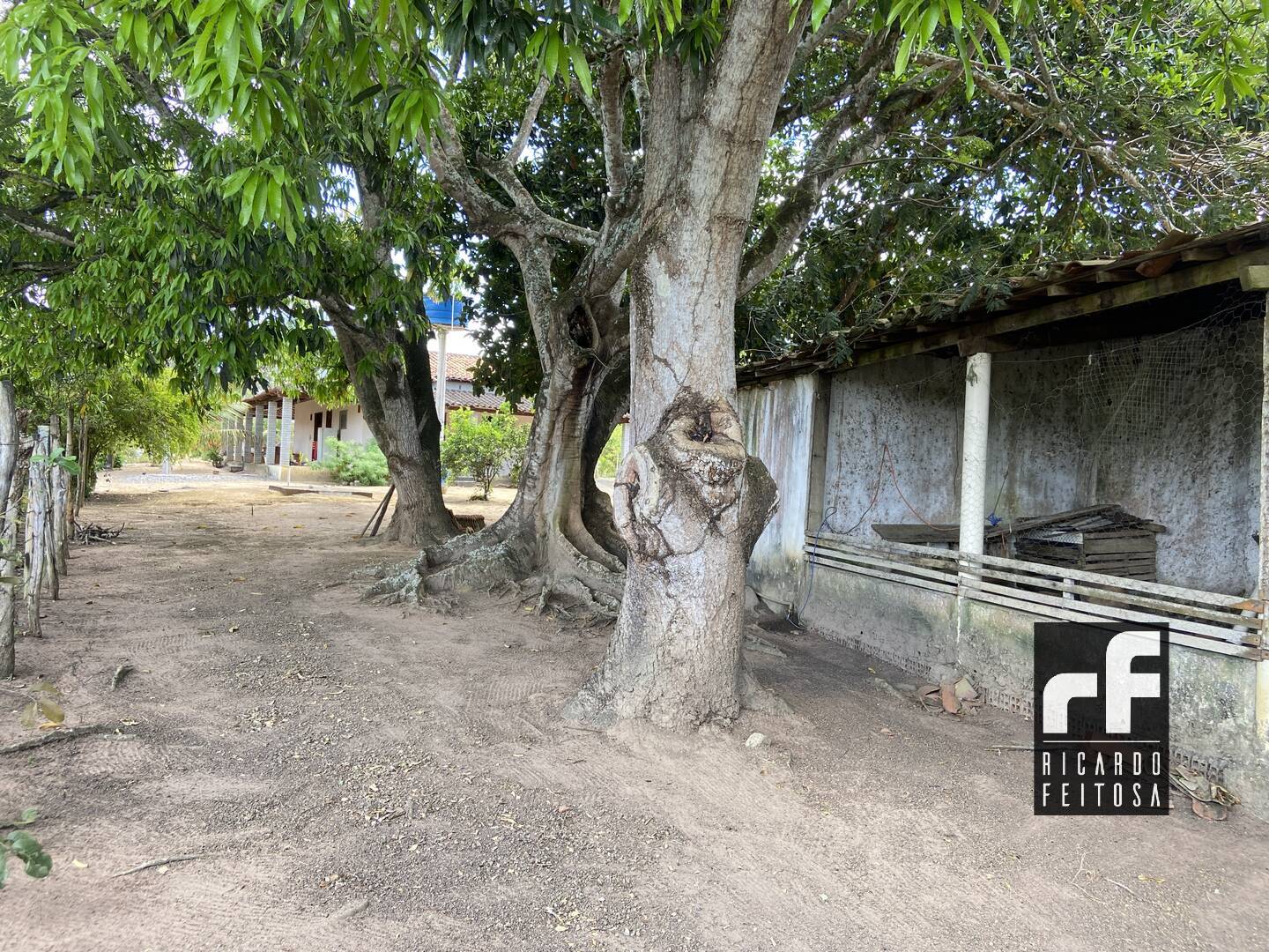 Terreno, 6291 m² - Foto 10