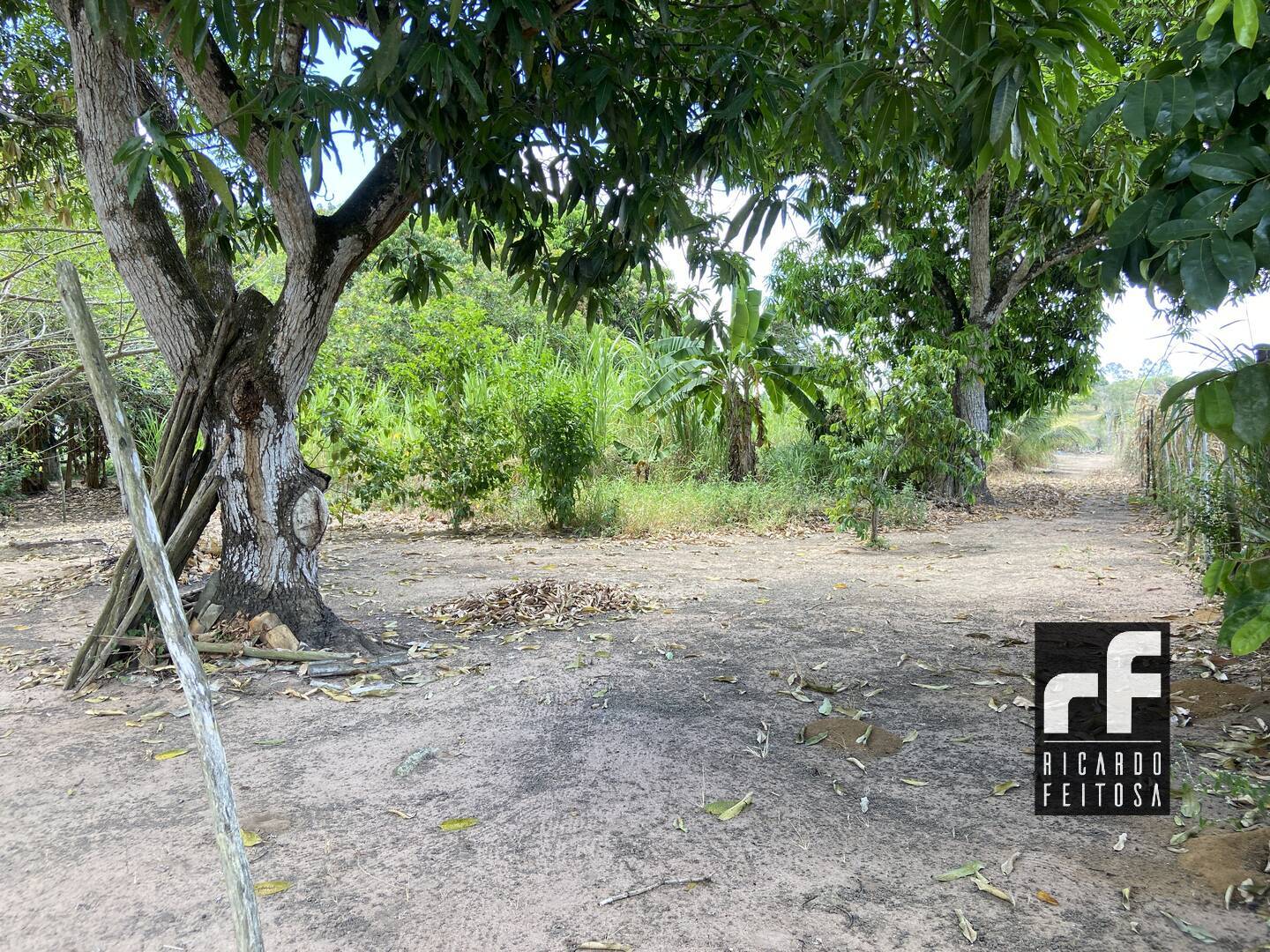 Terreno, 6291 m² - Foto 11